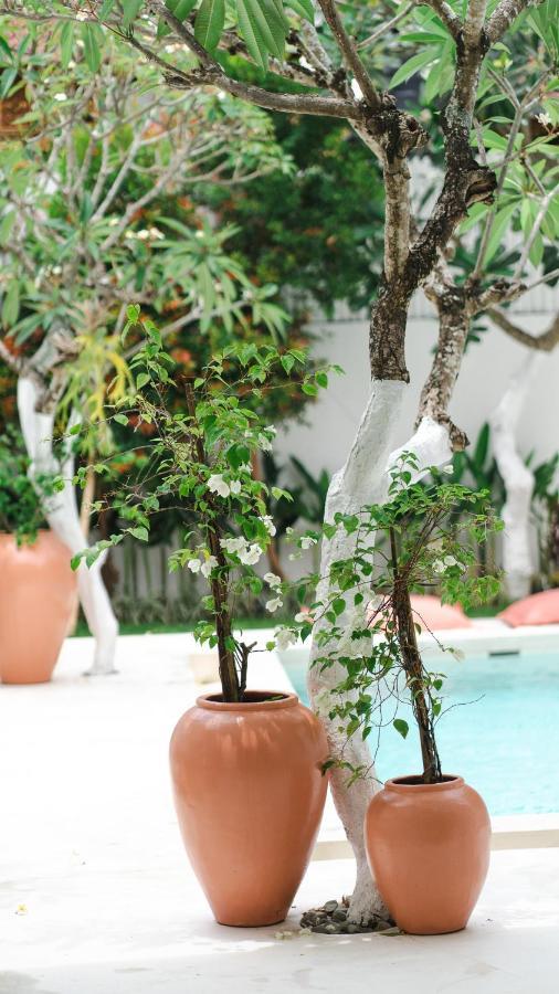 Villa Diola 3 Canggu Exterior foto